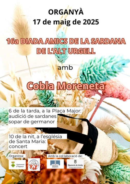 16a Diada amics de la sardana organya