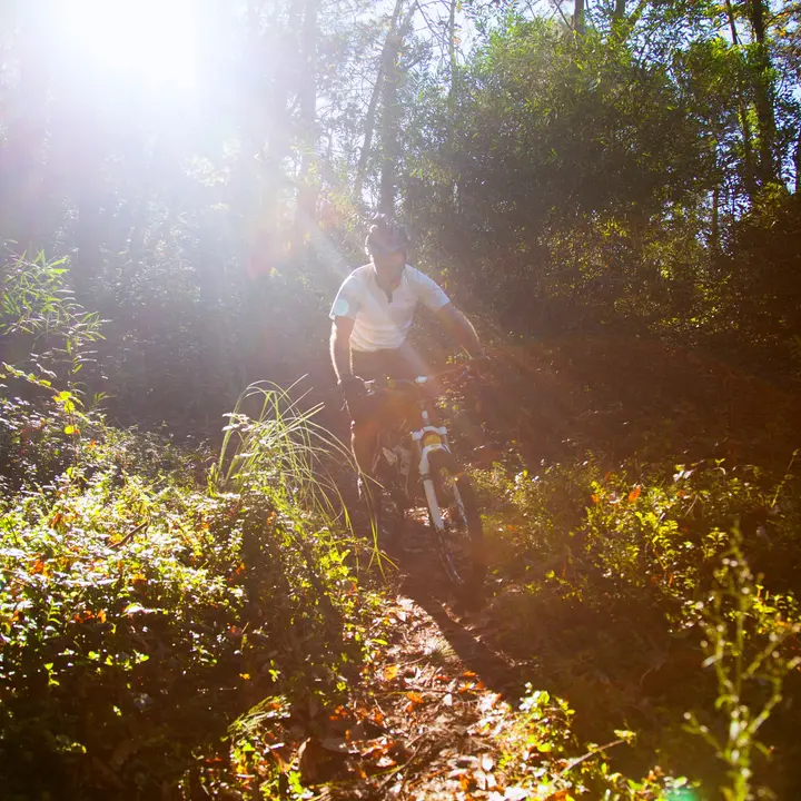 btt i bike parc Arinsal