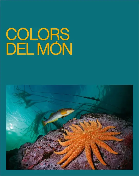 Expo colors del mon PEUSA