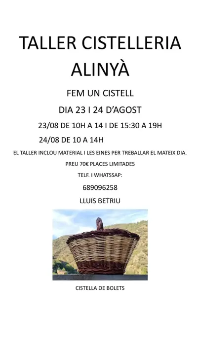 Taller Cistelleria AlinyaĚ
