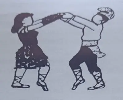 Sardanes la Seu