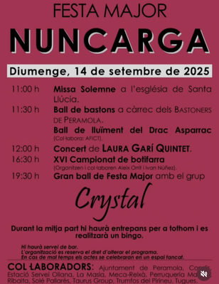 Nuncarga