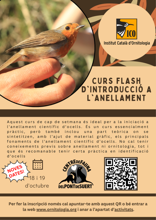 Curs Flash anellament ocells