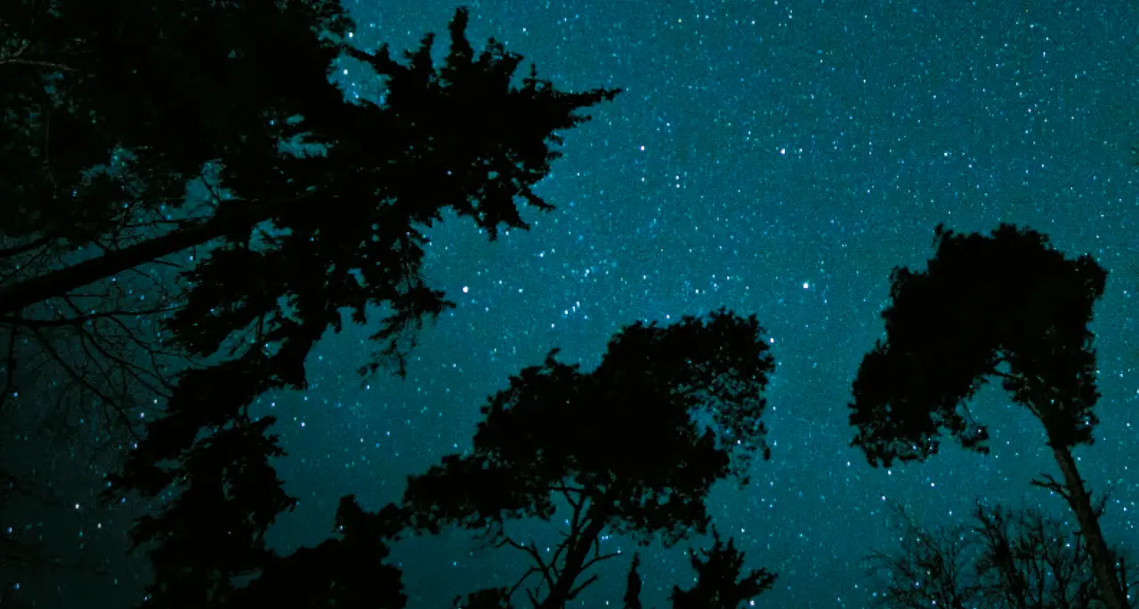 Univers i sentit Natura llibres