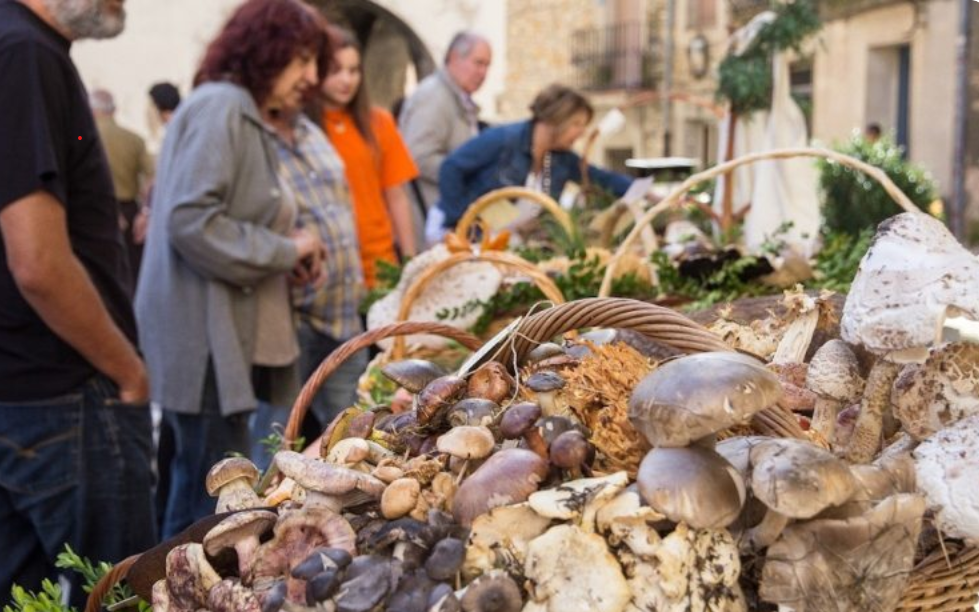 Fira del bolet Isona i Conca Della