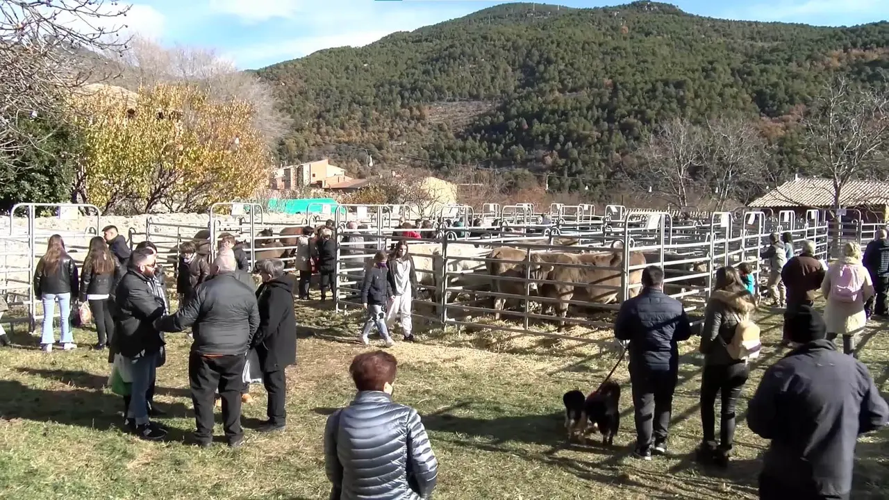 fira-sant-andreu-organya-1-1