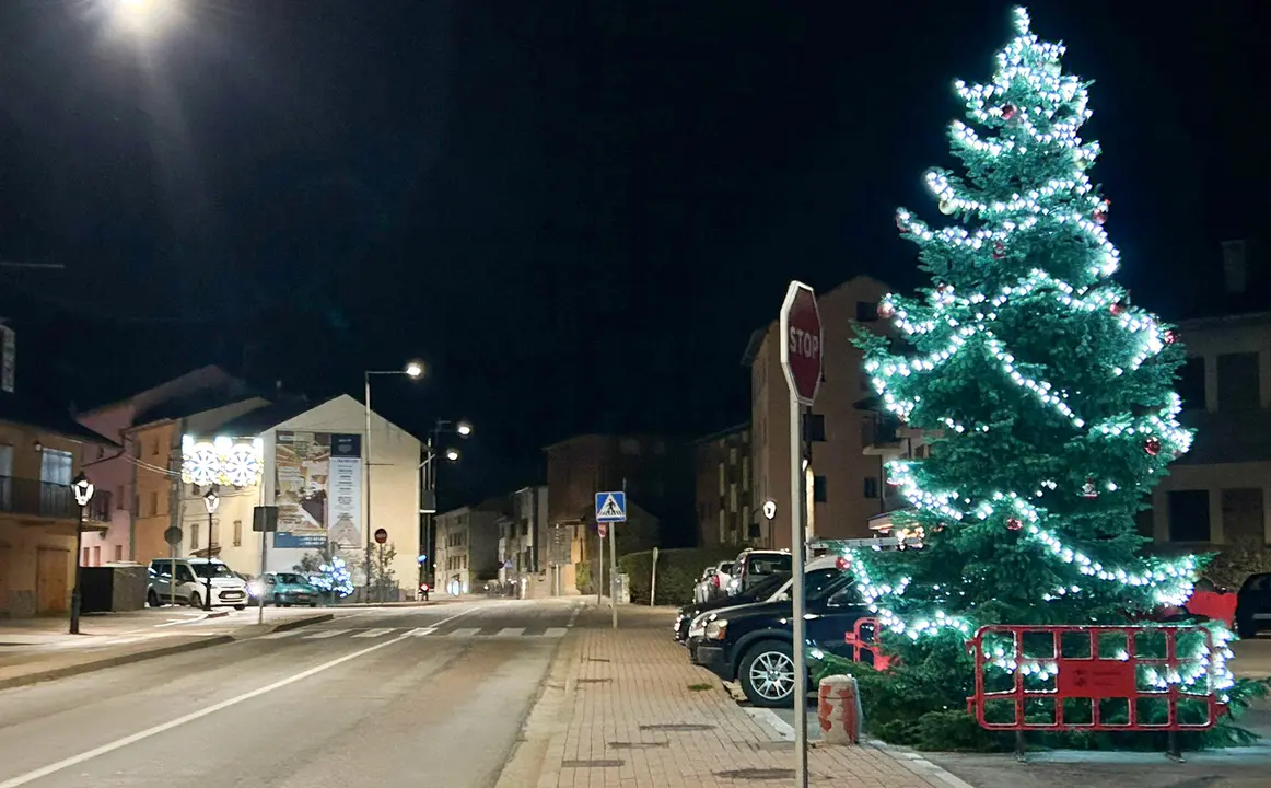 Arbre dels desitjos llivia