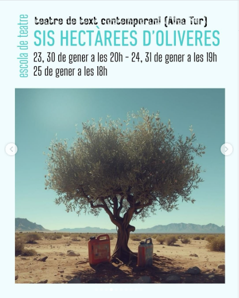 Sis hectares d'oliveres Sala Única