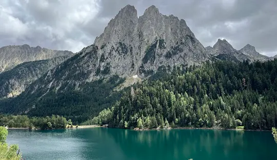 Taller el Parc es vida