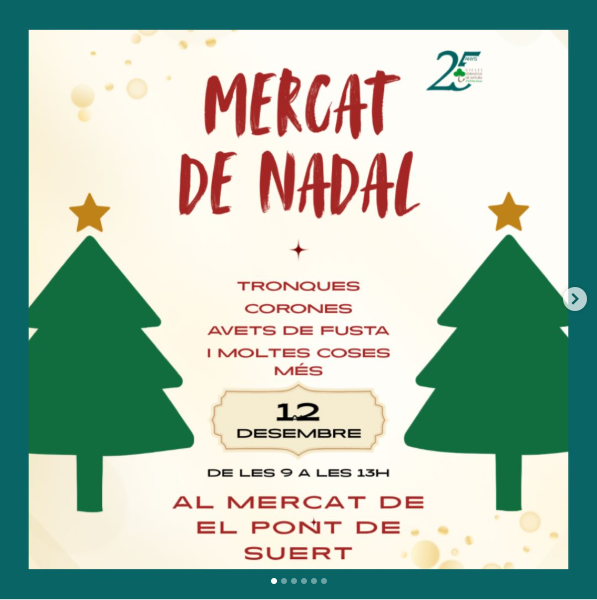 Mercat de Nadal Pont de Suert 1