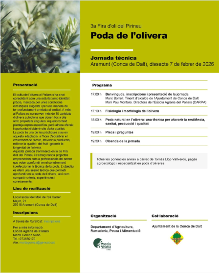 3a Fira de l'Oli del Pirineu -Poda de l'olivera