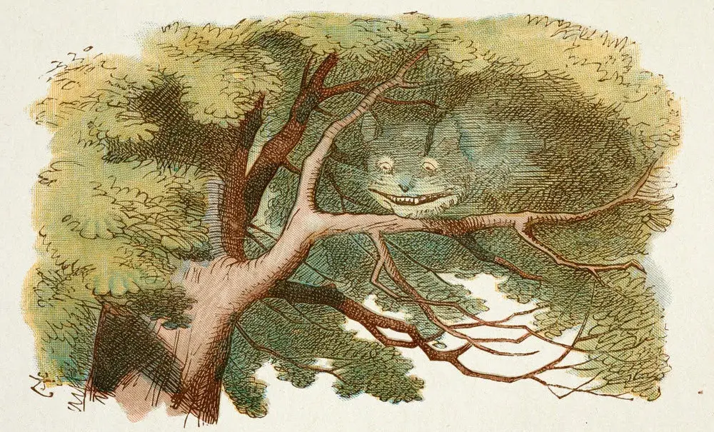 Alicia al pais de les meravelles - Natura Llibres