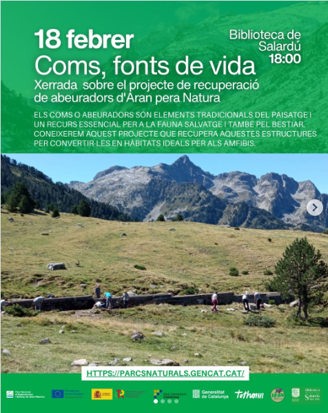 Captura de pantalla 2026-02-18 093205