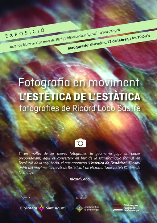 WhatsApp Image 2026-02-18 at 20.07.58