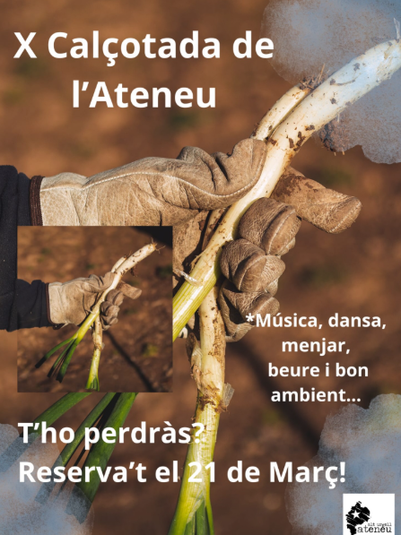 X Cal&ccedil;ota Ateneu alt Urgell