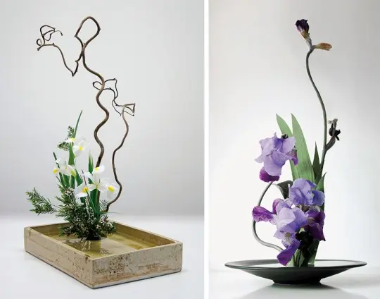 Iniciaci&oacute; a l'art floral japon&egrave;s Encamp