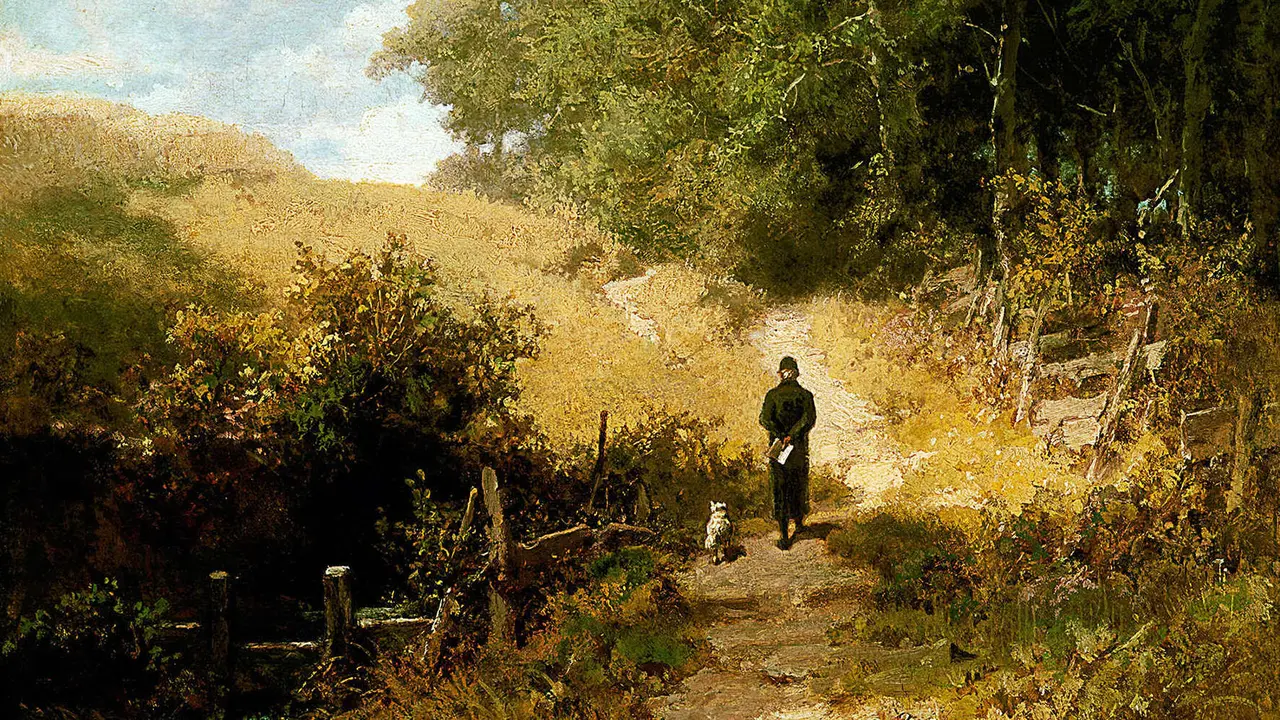 Somiejos de passejants solitaris Natura Llibres