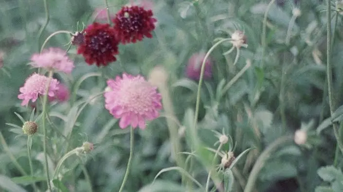 40 segons Natura Llibres