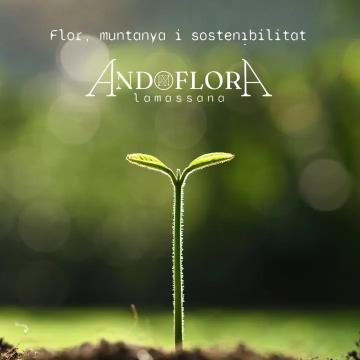 Andflora 2026 La Massana