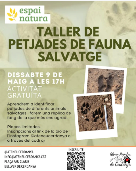 Taller petjades fauna salvatge Ateneu Cerdanya