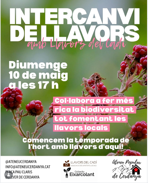 Intercanvi llavors Ateneu Cerdanya