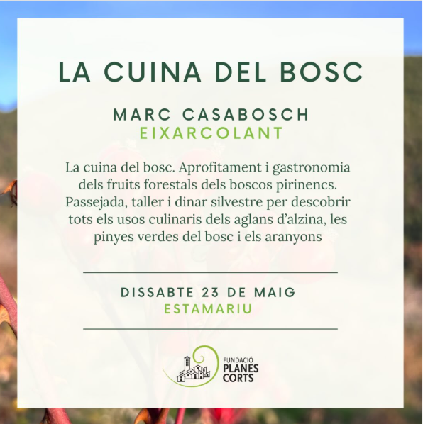 Cuina del bosc Planes Corts