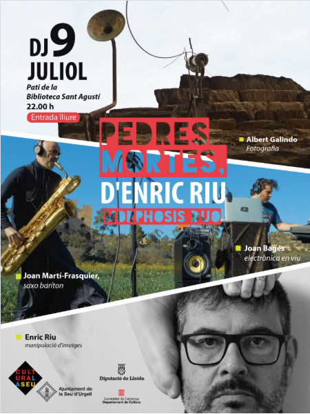 Pedres mortes ajuntament de la Seu