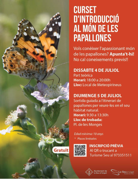 Curset papallones