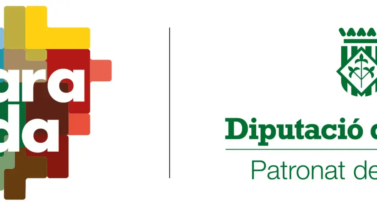 Diputació de Lleida