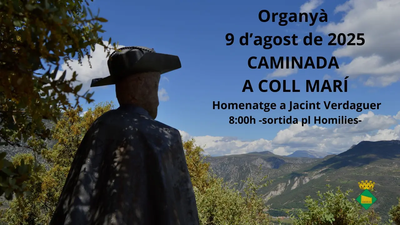 Caminada a Coll Mari Organyà