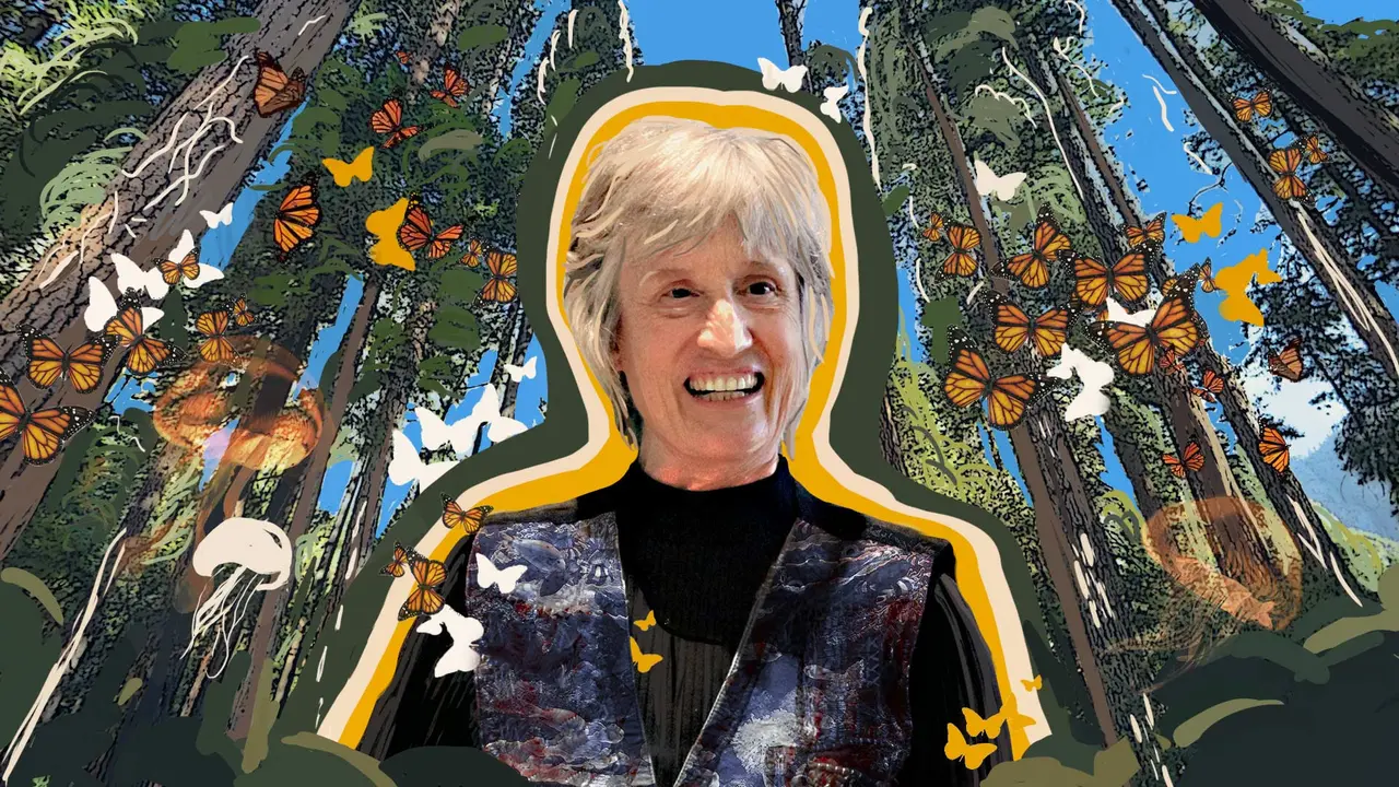 Dona HaraWay Natura llibres
