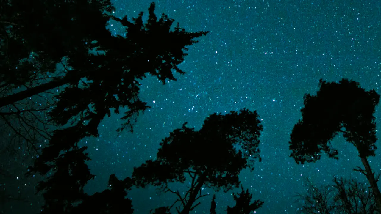Univers i sentit Natura llibres