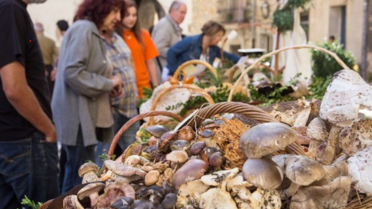 Fira del bolet Isona i Conca Della