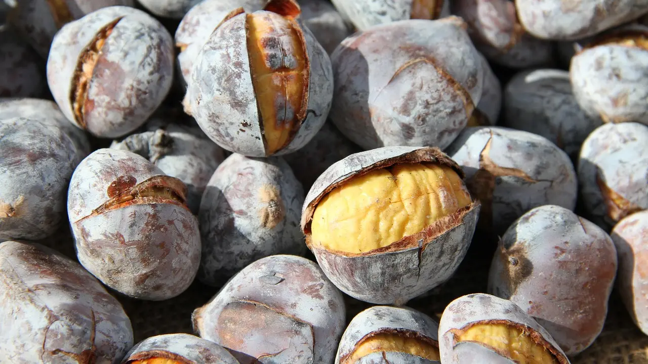 chestnuts-3398024_1280