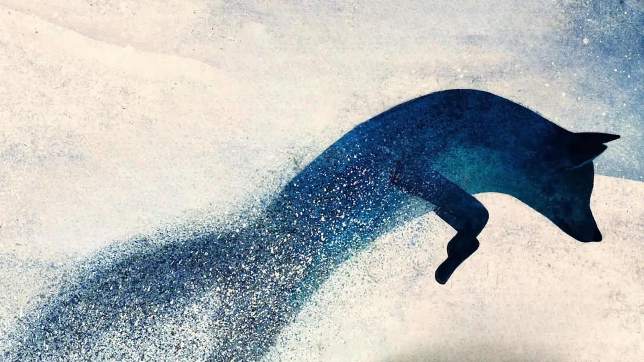 Skugga - Natura llibres