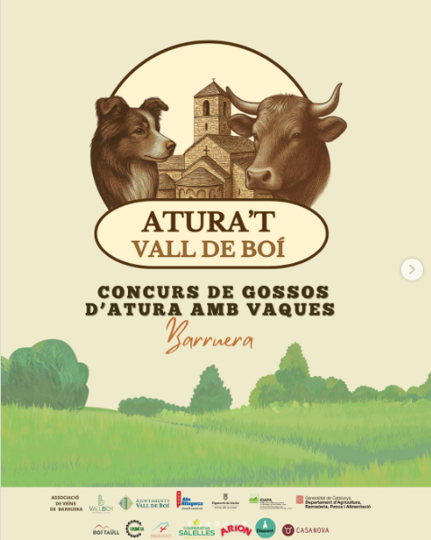 Aturat Vall de Boí