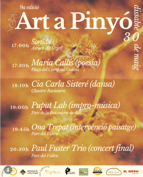 Art i Pinyó